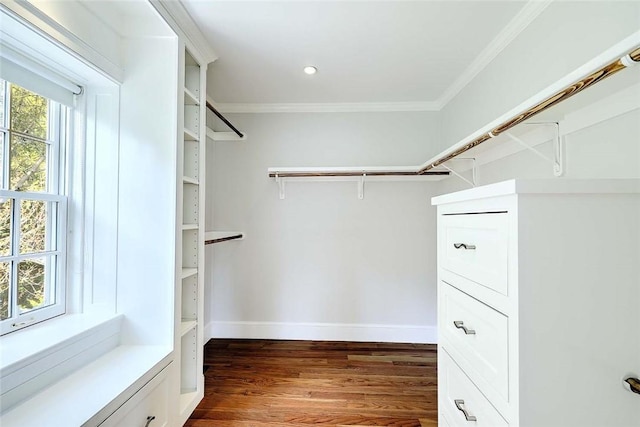 750 Elmgrove Ave, Providence, RI 02906 - walk in closet with wood finished floors