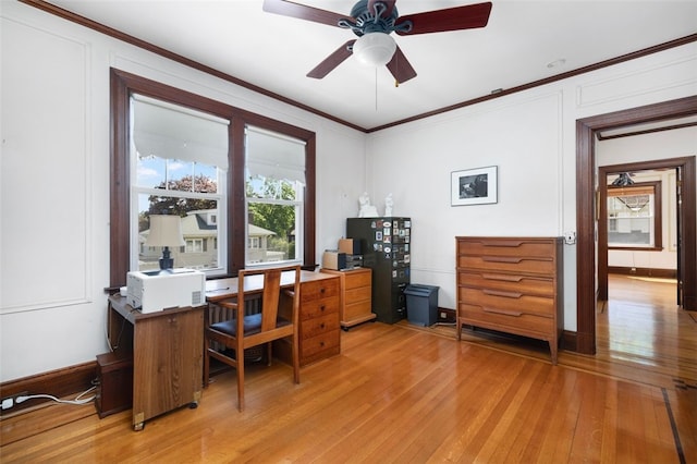 office with light wood finished floors, a ceiling fan, and crown molding