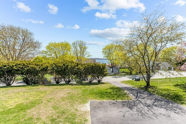 view of home's community featuring a yard