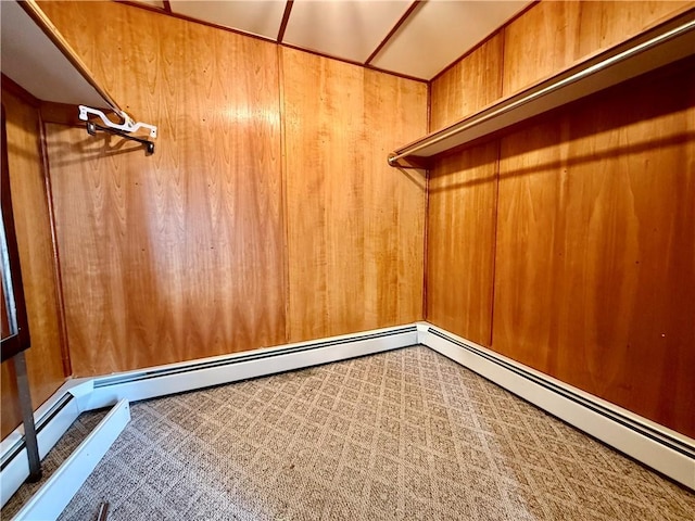 172 Park Ave, Woonsocket, RI 02895 - spacious closet with carpet flooring