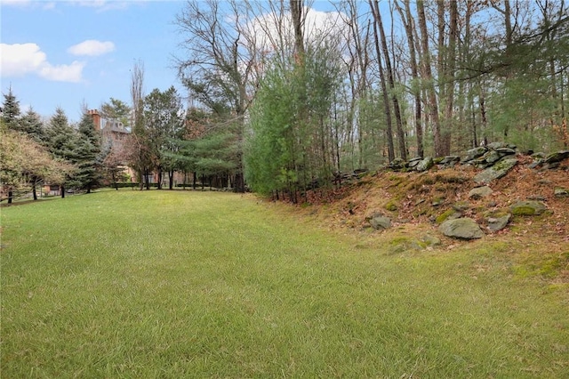 view of yard