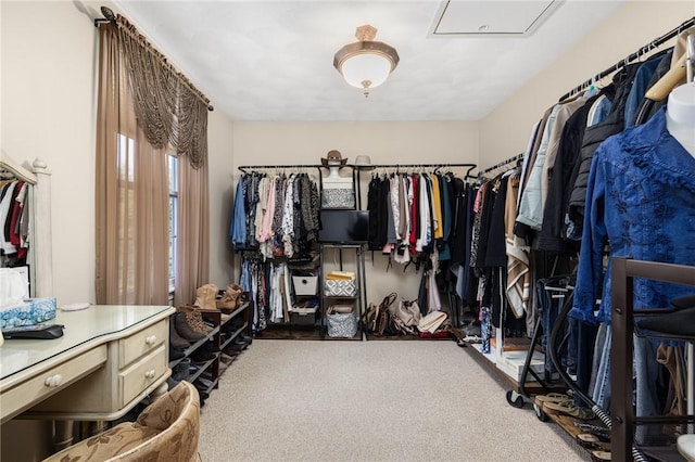 39 Greenbriar Rd, West Warwick, RI 02893 - walk in closet featuring carpet flooring