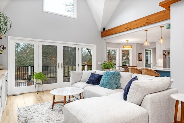 living area featuring french doors, light wood-style floors, and a healthy amount of sunlight