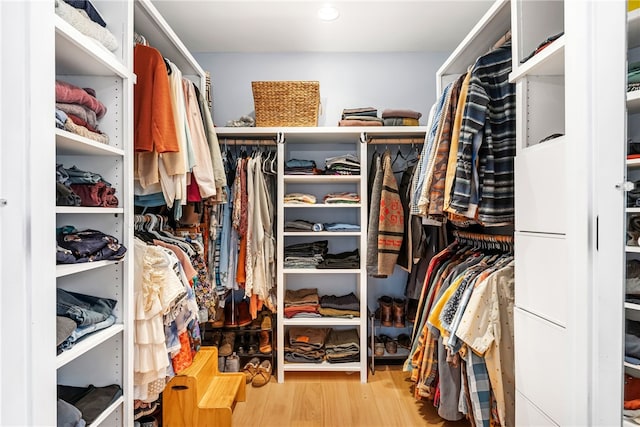 walk in closet with wood finished floors