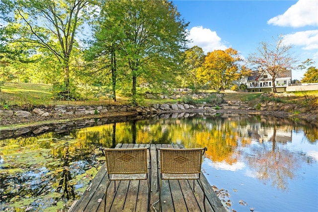 dock area with a water view