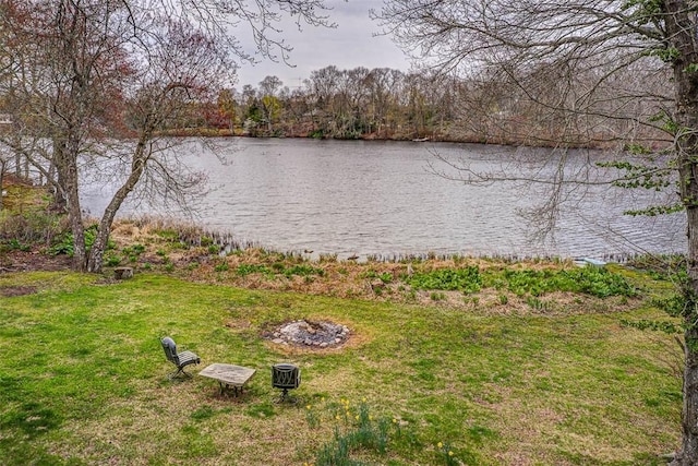 water view featuring a view of trees