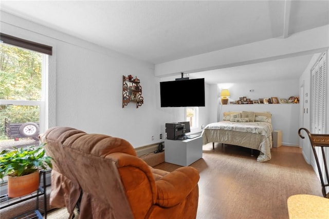bedroom featuring multiple windows