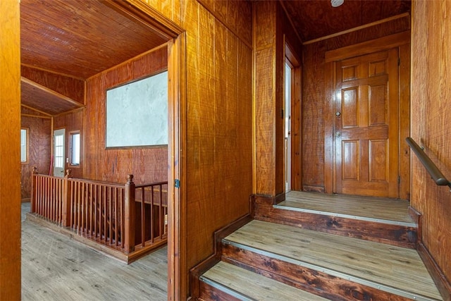 stairs with wood ceiling, wood walls, and wood finished floors