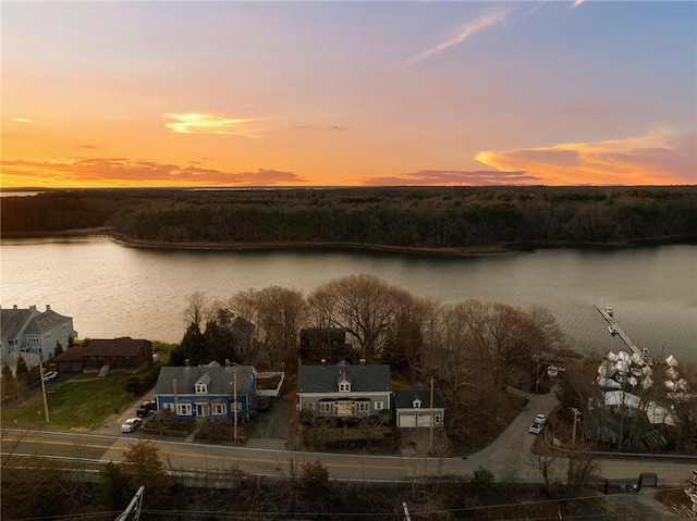water view with a wooded view