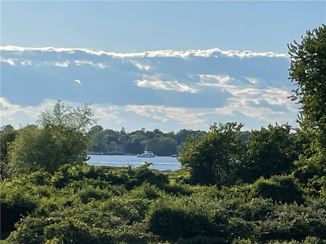 9 Hanley Farm Rd Unit 9, Warren, RI 02885 - water view featuring a forest