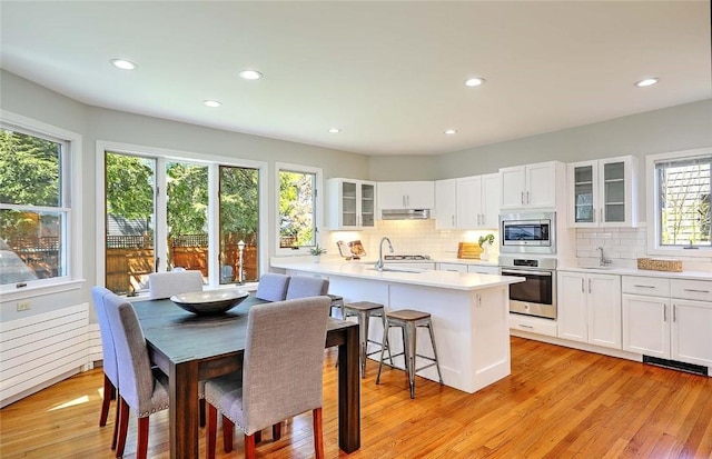kitchen featuring light countertops, tasteful backsplash, stainless steel appliances, and under cabinet range hood