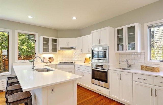 kitchen featuring a sink, appliances with stainless steel finishes, a breakfast bar, and under cabinet range hood
