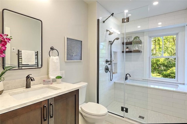bathroom with vanity, a stall shower, and toilet