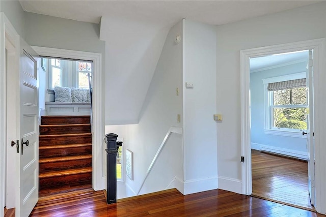 stairway featuring baseboards, a wealth of natural light, hardwood / wood-style flooring, and a baseboard radiator