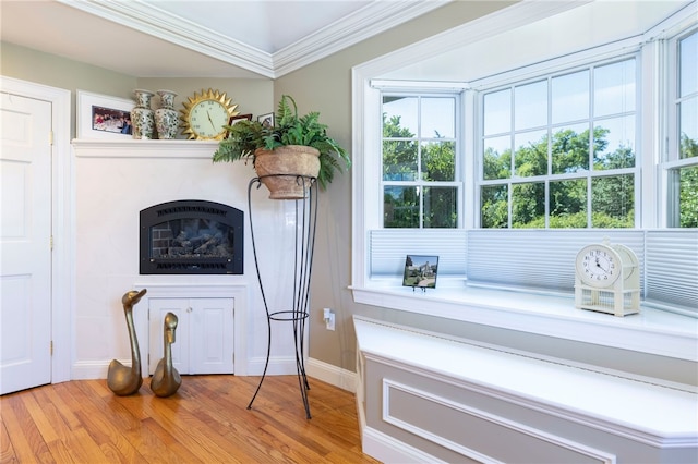 16 Central St, Charlestown, RI 02813 - unfurnished room with crown molding, baseboards, and light wood-type flooring