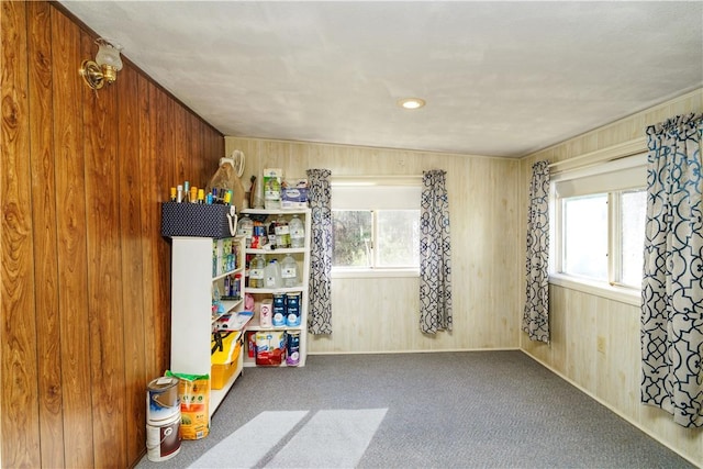 rec room with carpet flooring and wood walls