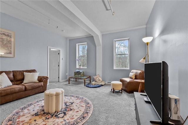 carpeted living room with baseboards and baseboard heating