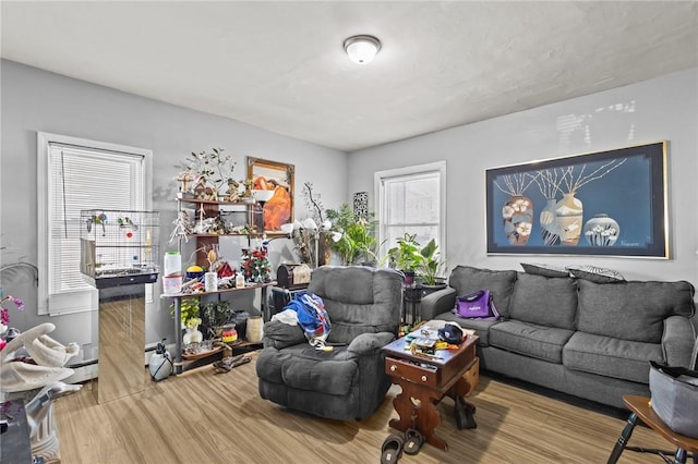 living room featuring wood finished floors