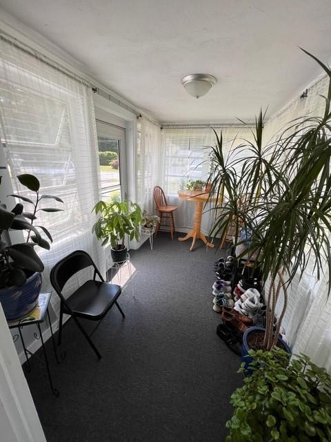 sunroom / solarium with carpet