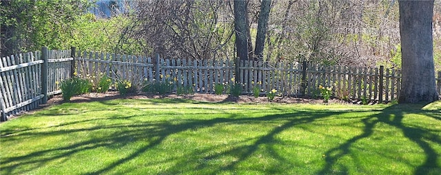 view of yard featuring fence