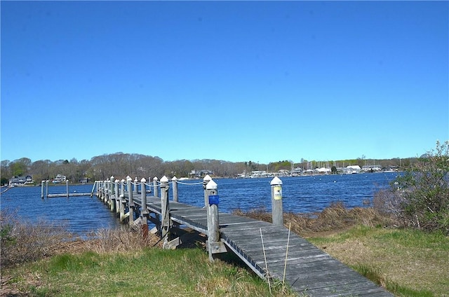 dock area with a water view