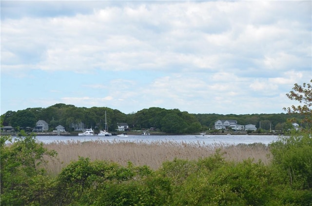 410 Wandsworth St, Narragansett, RI 02882 - water view with a forest
