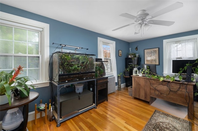 office space featuring a ceiling fan, baseboards, radiator heating unit, and wood finished floors