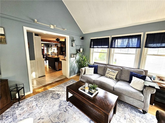 living area featuring wood finished floors, a ceiling fan, and lofted ceiling