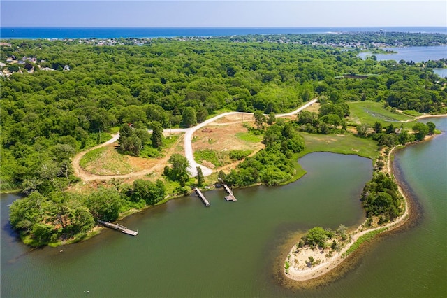 birds eye view of property with a water view and a wooded view