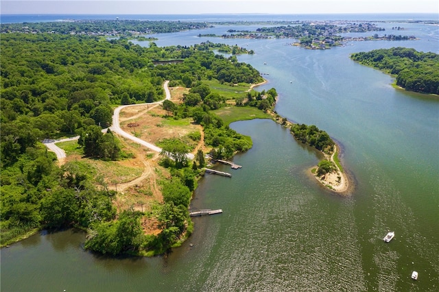aerial view featuring a water view and a forest view