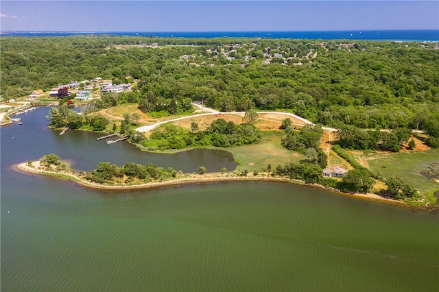 birds eye view of property featuring a water view and a wooded view