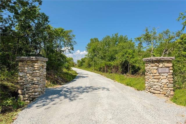 view of road with gravel driveway