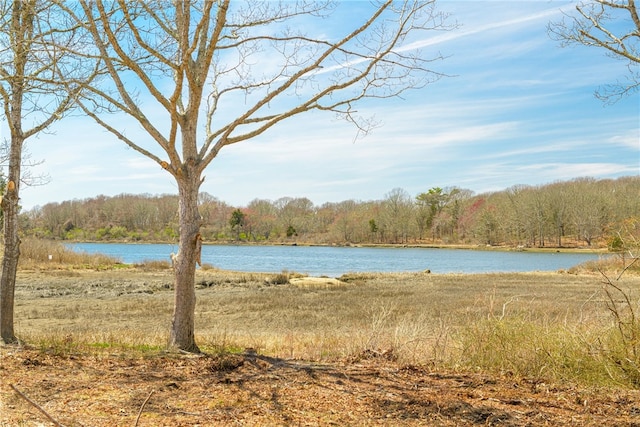 water view featuring a wooded view