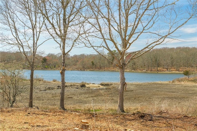view of water feature with a forest view