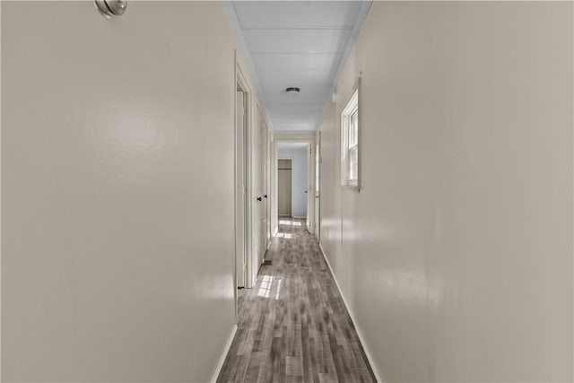 hallway featuring baseboards and wood finished floors