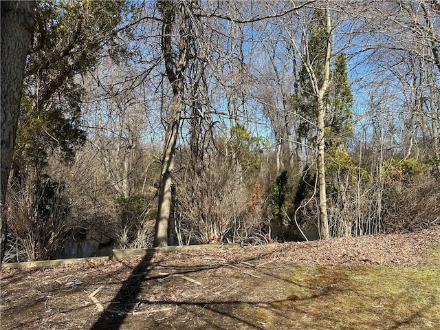 87 Elmbrook Dr, Warwick, RI 02889 - view of local wilderness