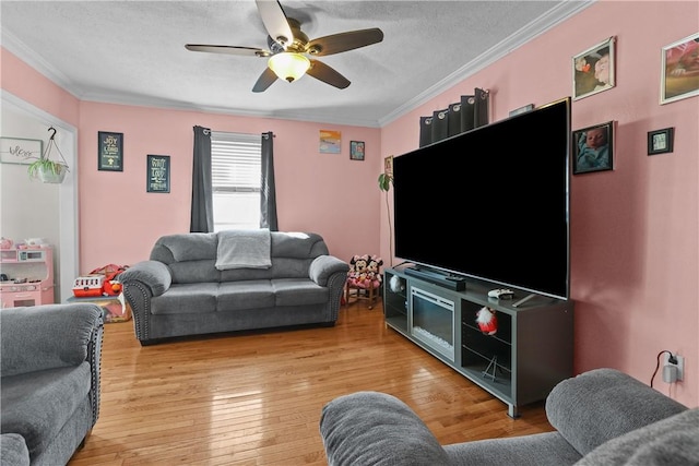 70 Perkins Ave, Cranston, RI 02910 - living area featuring ornamental molding, light wood finished floors, ceiling fan, and a textured ceiling