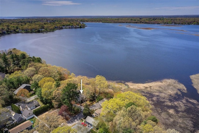 birds eye view of property featuring a water view and a wooded view