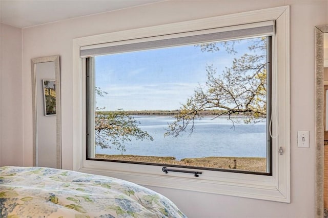 bedroom featuring a water view