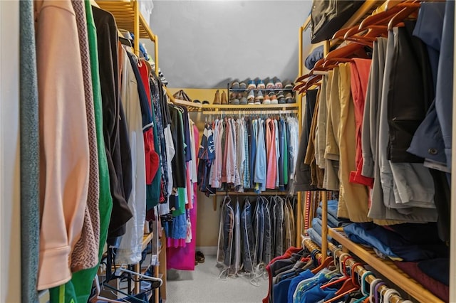 spacious closet featuring carpet flooring
