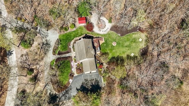bird's eye view