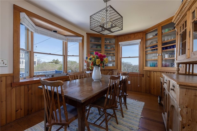 dining area featuring wood walls, wainscoting, and wood finished floors