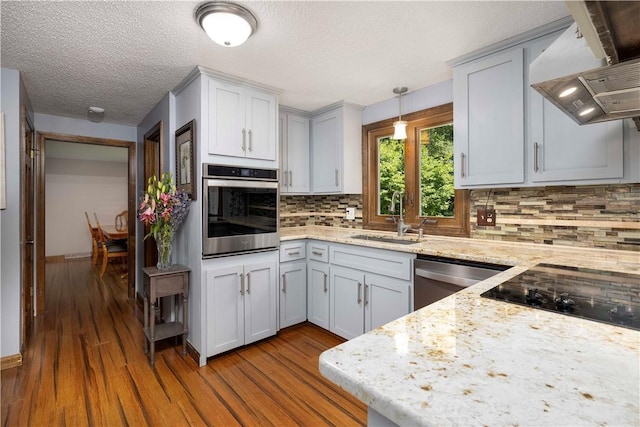 kitchen featuring a sink, ventilation hood, stainless steel appliances, and wood finished floors
