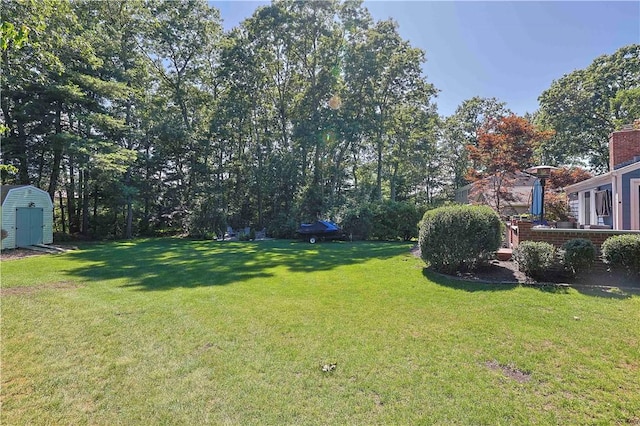 view of yard with a shed and an outbuilding