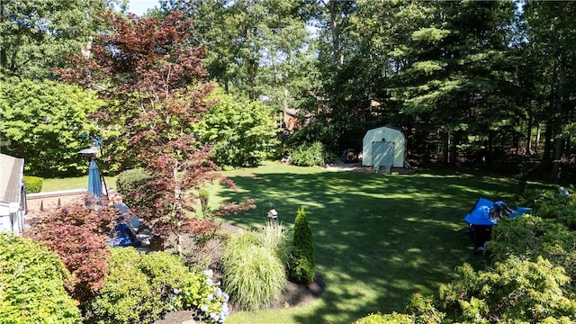 view of yard featuring a shed