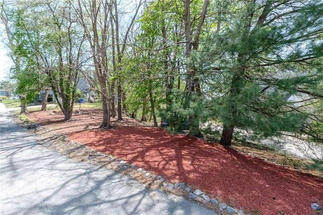 23 Oak Grove Blvd, North Providence, RI 02911 - view of yard
