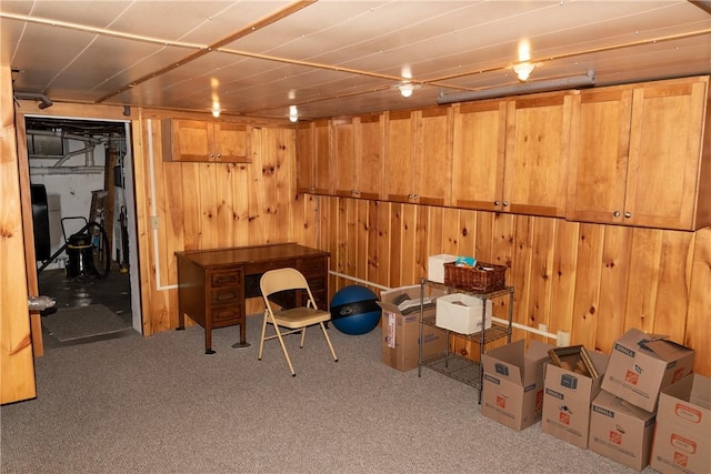 finished basement featuring carpet floors and wooden walls