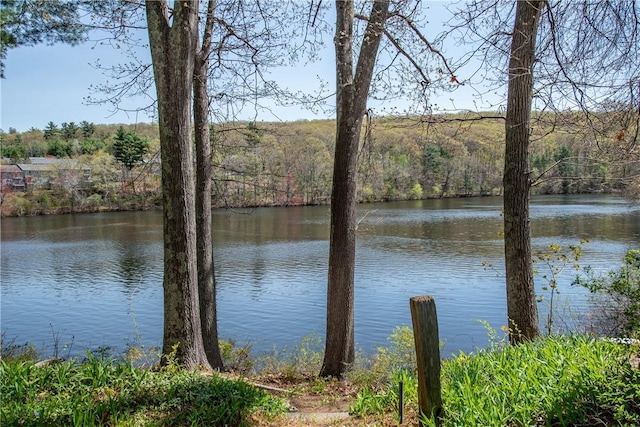 property view of water featuring a forest view