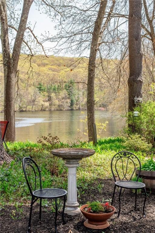 view of yard with a water view and a wooded view