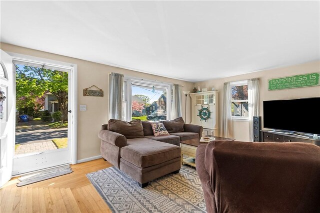 living room featuring a healthy amount of sunlight and wood finished floors